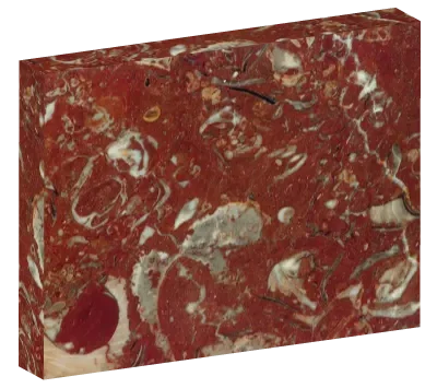 rojo bidasoa